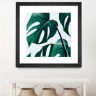 Monstera by Uma Gokhale on GIANT ART - green digital painting