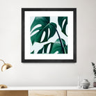 Monstera by Uma Gokhale on GIANT ART - green digital painting