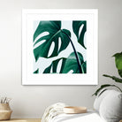 Monstera by Uma Gokhale on GIANT ART - green digital painting