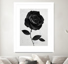 Fabric Rose by Ruben Ireland on GIANT ART - digital painting