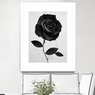 Fabric Rose by Ruben Ireland on GIANT ART - digital painting