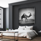 Camel Back by Sarah DeRemer on GIANT ART - gray photo manipulation