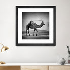 Camel Back by Sarah DeRemer on GIANT ART - gray photo manipulation