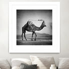 Camel Back by Sarah DeRemer on GIANT ART - gray photo manipulation