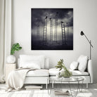 Staircrows by Sarolta Ban on GIANT ART - gray photo manipulation