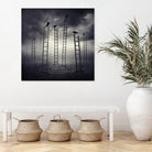 Staircrows by Sarolta Ban on GIANT ART - gray photo manipulation