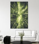 Bamboo Forest II by Pascal Deckarm on GIANT ART - green photo manipulation