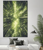 Bamboo Forest II by Pascal Deckarm on GIANT ART - green photo manipulation