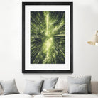 Bamboo Forest II by Pascal Deckarm on GIANT ART - green photo manipulation