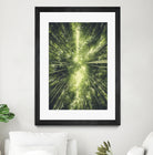 Bamboo Forest II by Pascal Deckarm on GIANT ART - green photo manipulation