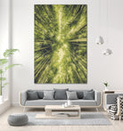 Bamboo Forest III by Pascal Deckarm on GIANT ART - green photo manipulation