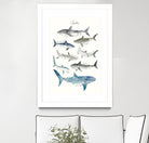 Sharks by Amy Hamilton on GIANT ART - blue mixed media