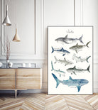 Sharks by Amy Hamilton on GIANT ART - blue mixed media