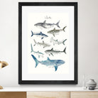 Sharks by Amy Hamilton on GIANT ART - blue mixed media