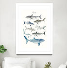 Sharks by Amy Hamilton on GIANT ART - blue mixed media