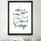 Sharks by Amy Hamilton on GIANT ART - blue mixed media