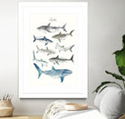 Sharks by Amy Hamilton on GIANT ART - blue mixed media