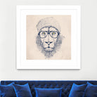 Cool lion by Solti Balázs on GIANT ART - brown digital painting