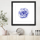 Ballpoint Blue Rose by Ronny Petrus Johannes Kools on GIANT ART - blue mixed media