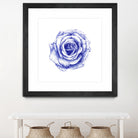 Ballpoint Blue Rose by Ronny Petrus Johannes Kools on GIANT ART - blue mixed media