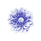 Ballpoint Blue Dahlia by Ronny Petrus Johannes Kools on GIANT ART - blue digital drawing