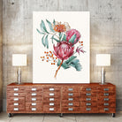 King protea flowers watercolor illustration by Two Lips on GIANT ART - pink digital drawing