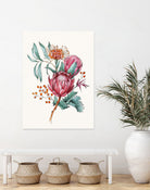 King protea flowers watercolor illustration by Two Lips on GIANT ART - pink digital drawing