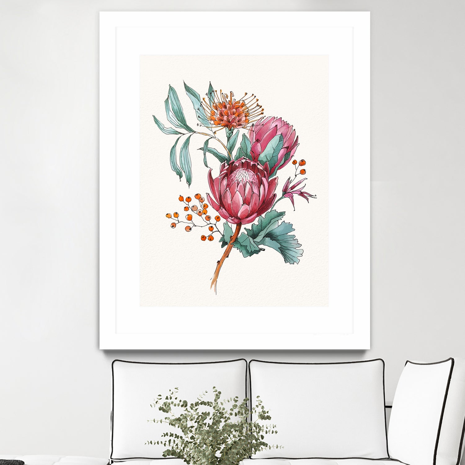 King protea flowers watercolor illustration by Two Lips on GIANT ART - pink digital drawing