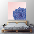 Big Echeveria Design by Brigitte Carre on GIANT ART - blue digital painting