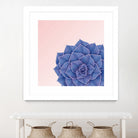 Big Echeveria Design by Brigitte Carre on GIANT ART - blue digital painting