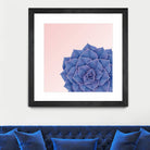 Big Echeveria Design by Brigitte Carre on GIANT ART - blue digital painting