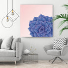 Big Echeveria Design by Brigitte Carre on GIANT ART - blue digital painting