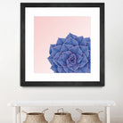 Big Echeveria Design by Brigitte Carre on GIANT ART - blue digital painting