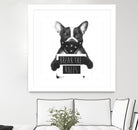 Rebel dog by Solti Balázs on GIANT ART - white digital drawing