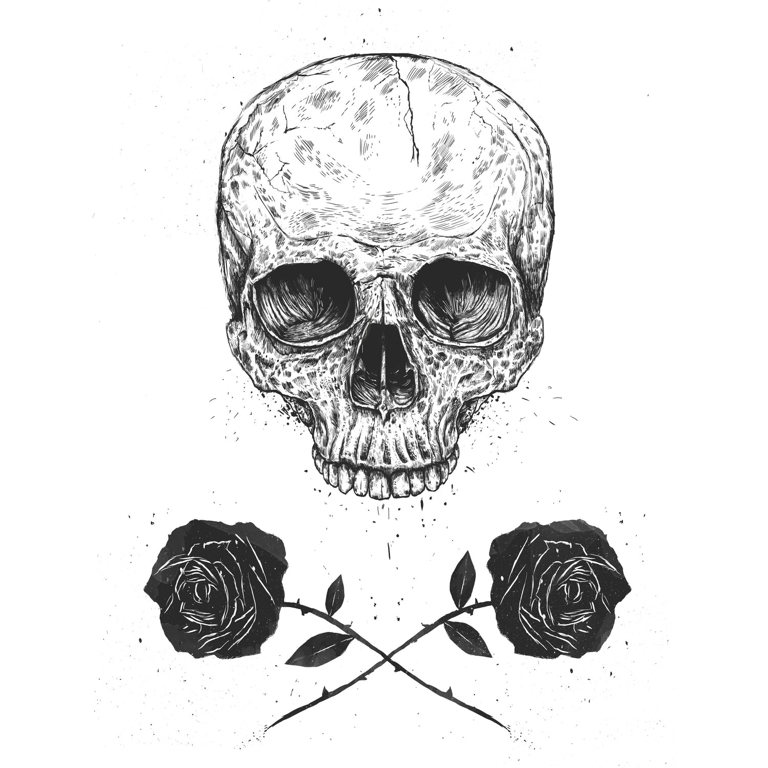 Skull N' Roses by Solti Balázs on GIANT ART - white digital drawing