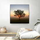 Tree at Sunrise Sunrise by Brian Sooy on GIANT ART - orange photo illustration