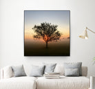 Tree at Sunrise Sunrise by Brian Sooy on GIANT ART - orange photo illustration