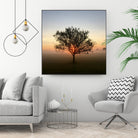 Tree at Sunrise Sunrise by Brian Sooy on GIANT ART - orange photo illustration