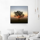 Tree at Sunrise Sunrise by Brian Sooy on GIANT ART - orange photo illustration