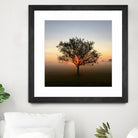 Tree at Sunrise Sunrise by Brian Sooy on GIANT ART - orange photo illustration