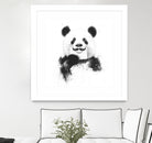 Funny panda by Solti Balázs on GIANT ART - white digital drawing