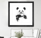 Funny panda by Solti Balázs on GIANT ART - white digital drawing