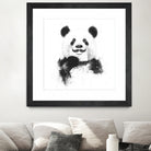 Funny panda by Solti Balázs on GIANT ART - white digital drawing