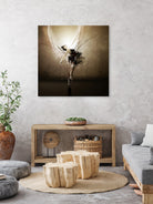 The Black Swan by Claudio Tosi on GIANT ART - black digital painting