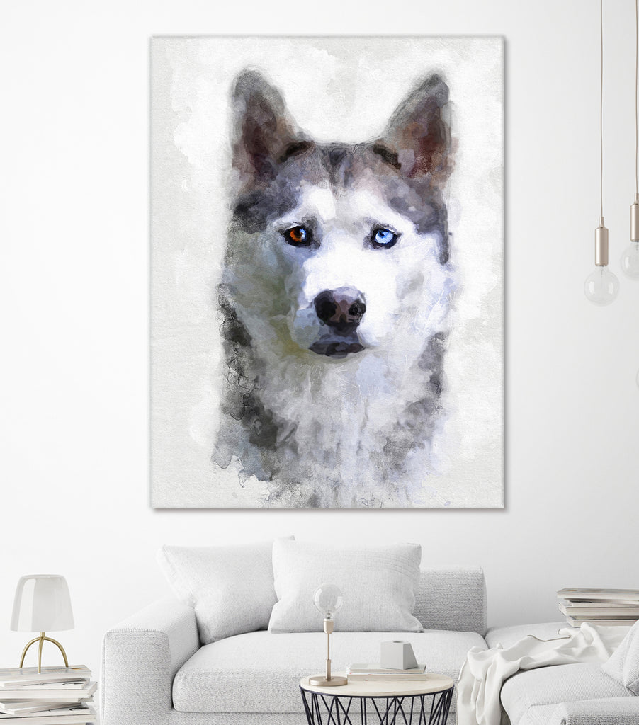 Siberian Husky by Alex Baron on GIANT ART - gray digital painting