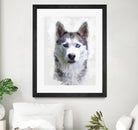 Siberian Husky by Alex Baron on GIANT ART - gray digital painting