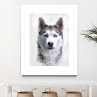 Siberian Husky by Alex Baron on GIANT ART - gray digital painting