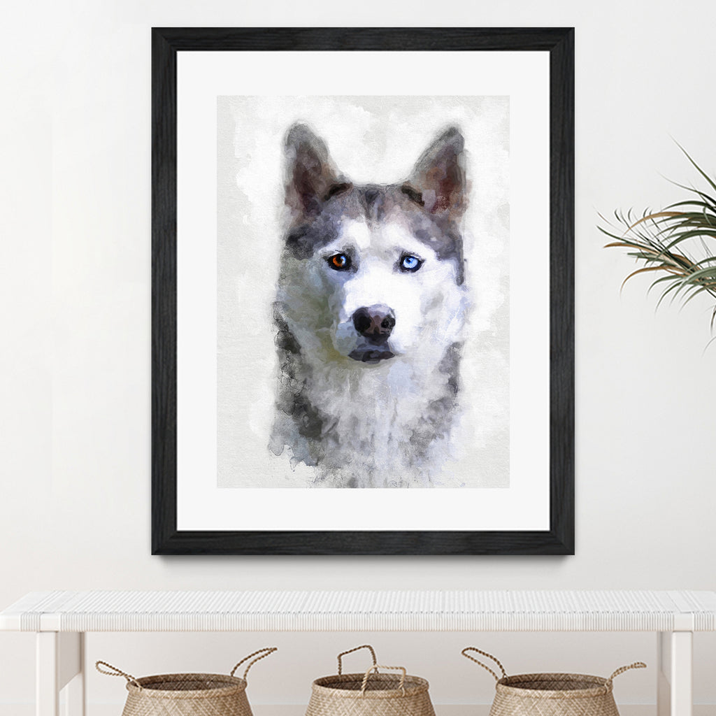 Siberian Husky by Alex Baron on GIANT ART - gray digital painting