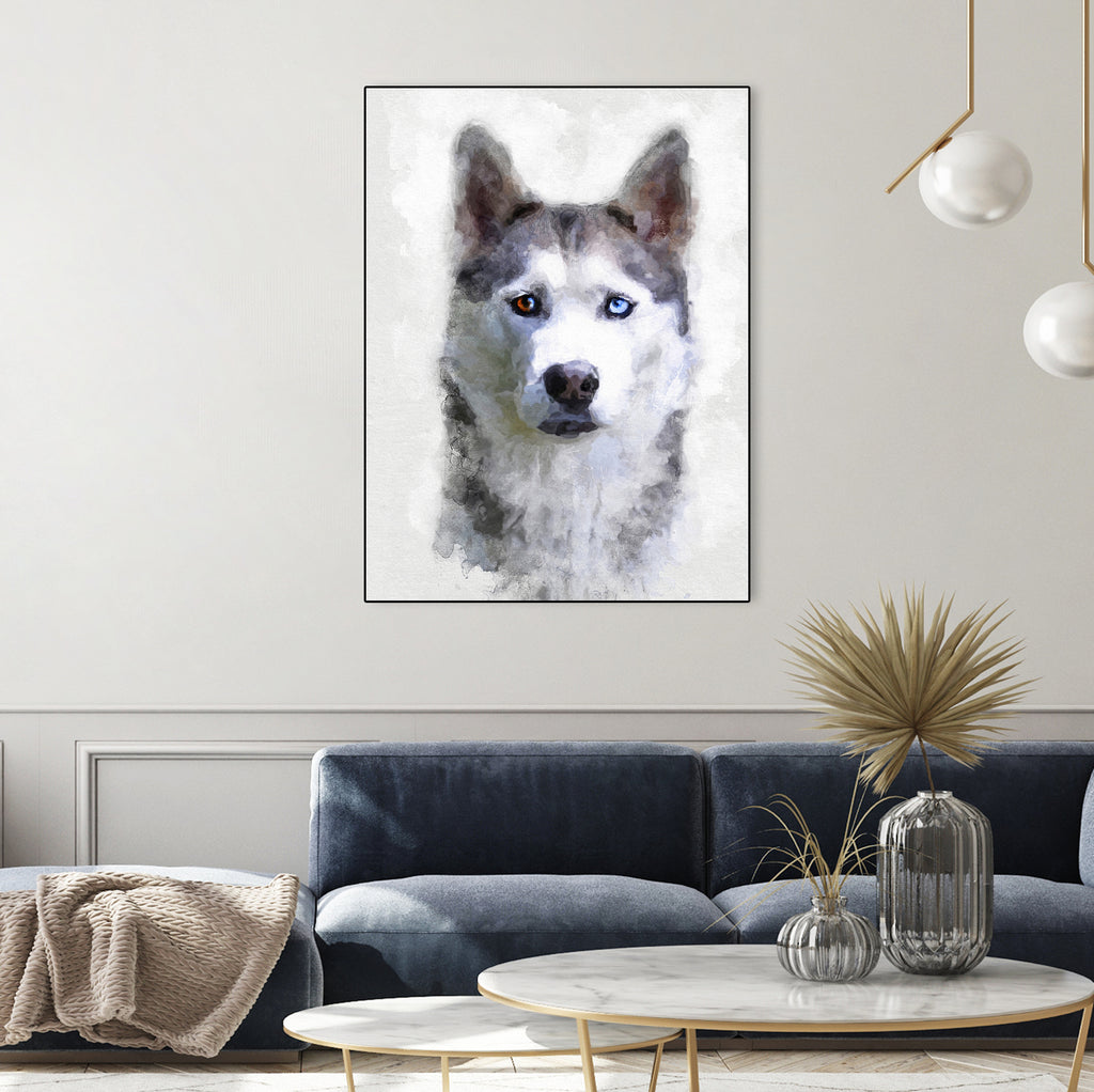 Siberian Husky by Alex Baron on GIANT ART - gray digital painting