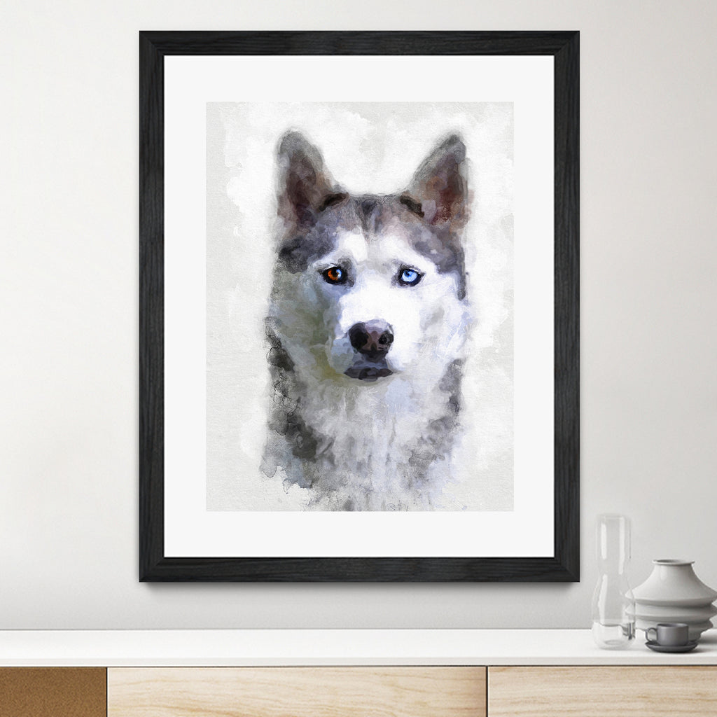 Siberian Husky by Alex Baron on GIANT ART - gray digital painting